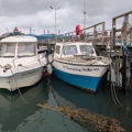 Extra picture for advert 147792