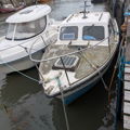 Extra picture for advert 147792
