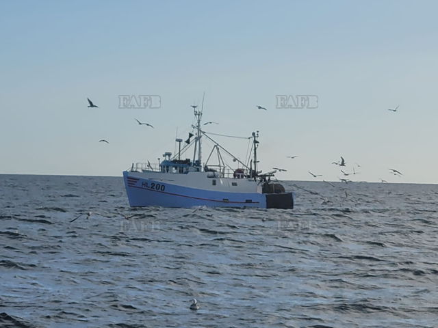 Large picture for advert 139797