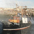 Thumbnail for picture 4