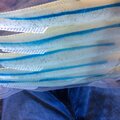 Sandeel Fishing Lures - Bass, Pollock, Cod - Various Colours - NEW Pearl Sparkle - picture 10