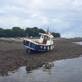 Thumbnail for picture 6