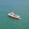 Thumbnail for picture 9