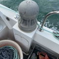 Thumbnail for picture 6