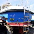 Extra picture for advert 147801