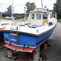 Extra picture for advert 147801