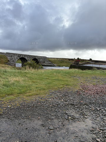 Main picture for advert 148802