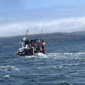 Extra picture for advert 143803