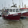 Extra picture for advert 143803