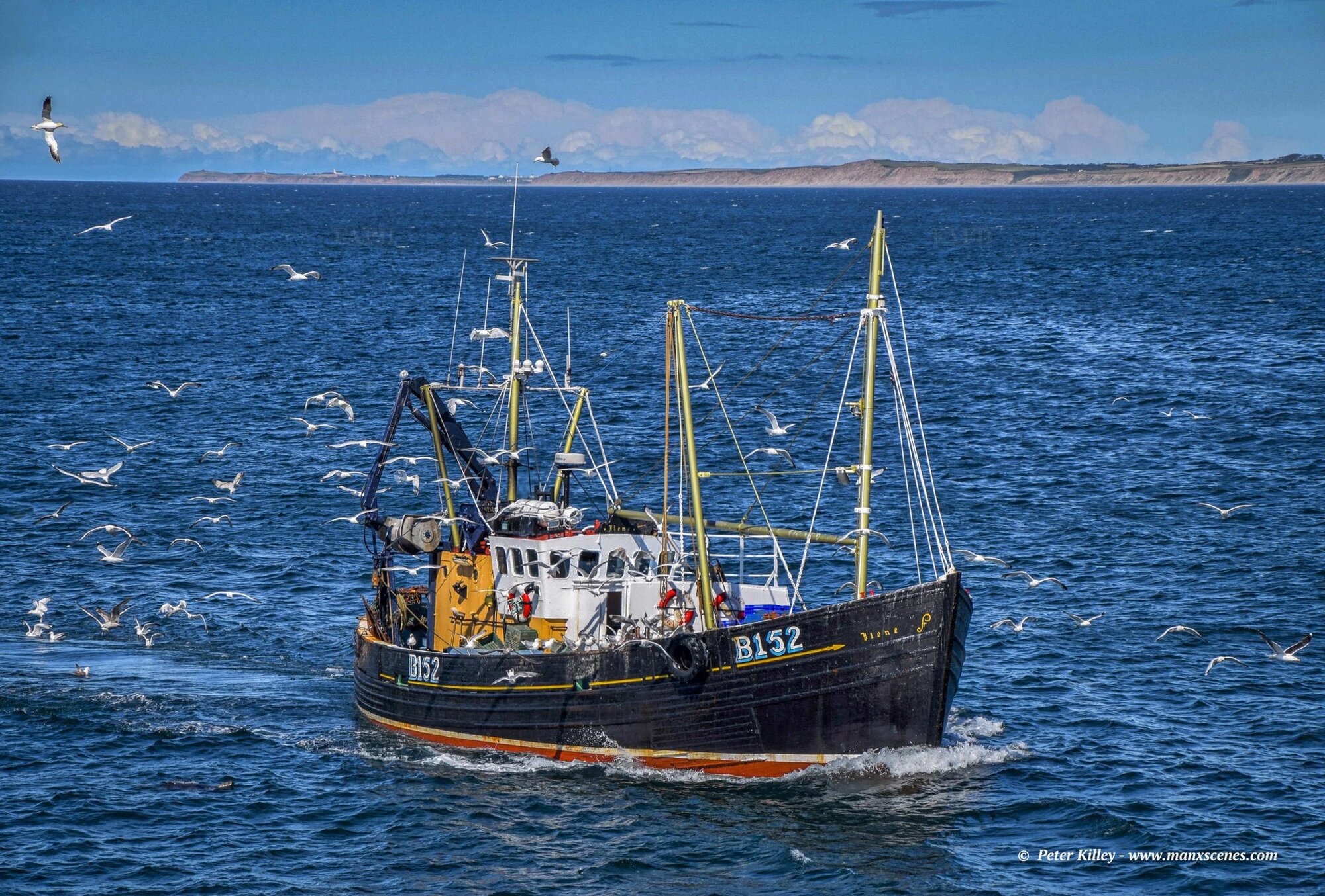 Large picture for advert 117805