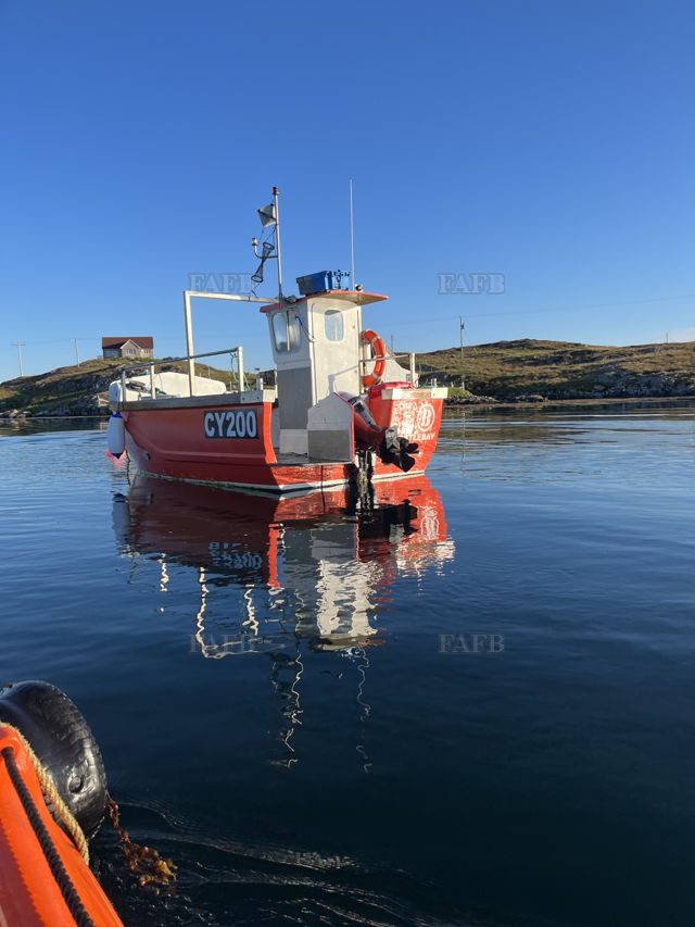 Large picture for advert 140805