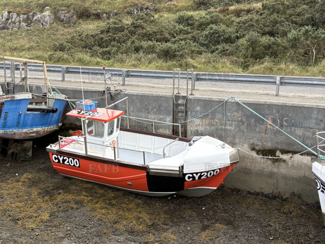 Large picture for advert 140805