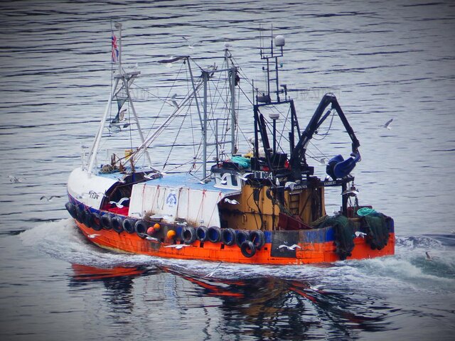 Whitby trawler - picture 1