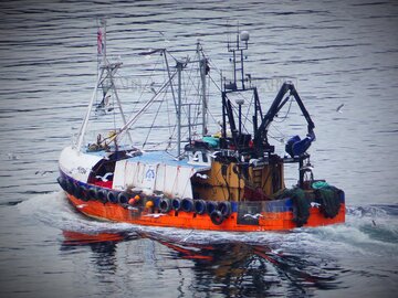 Whitby trawler - Caledonia ex Success WY212 - ID:124805