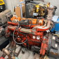 Extra picture for advert 149081