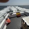 Extra picture for advert 147810