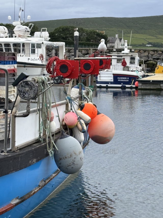 Large picture for advert 144811