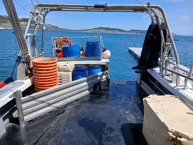 Large picture for advert 144812