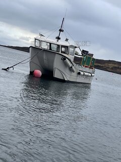 Twinseas Alaskan - INTEGRITY  - ID:128815