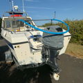 Extra picture for advert 147816