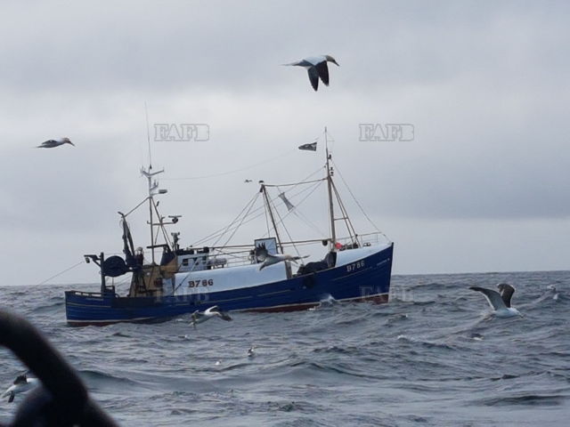 Large picture for advert 144817