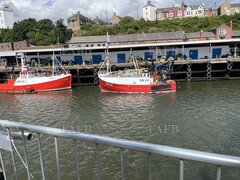 Gerrards - Madalia - ID:121817