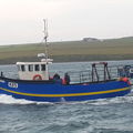 Extra picture for advert 146817