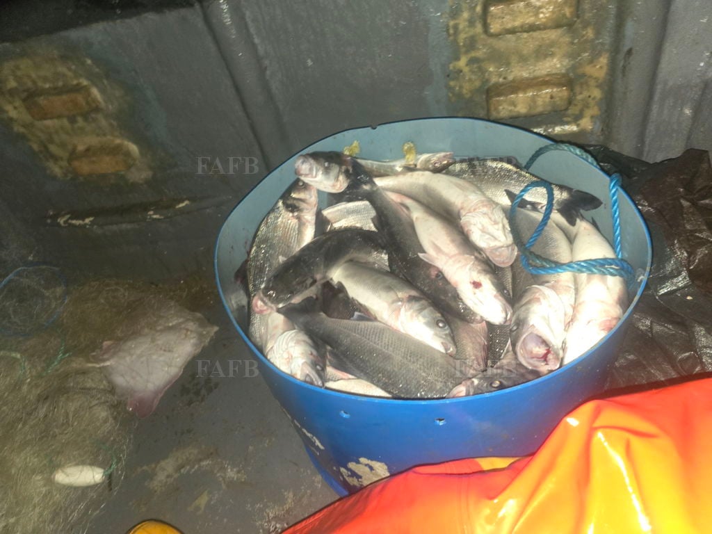 Relief skipper/vessel delivery