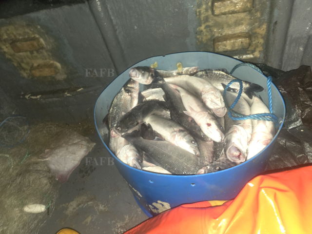 Large picture for advert 144818