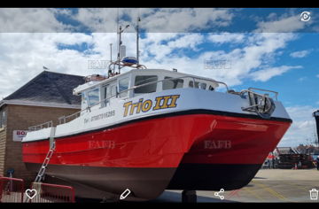 South cat 11m
