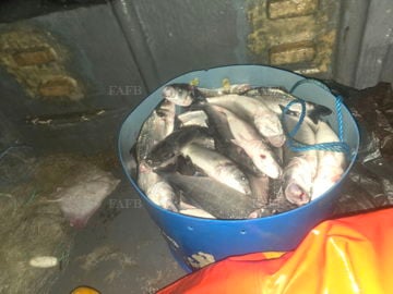 Main picture for advert 144818