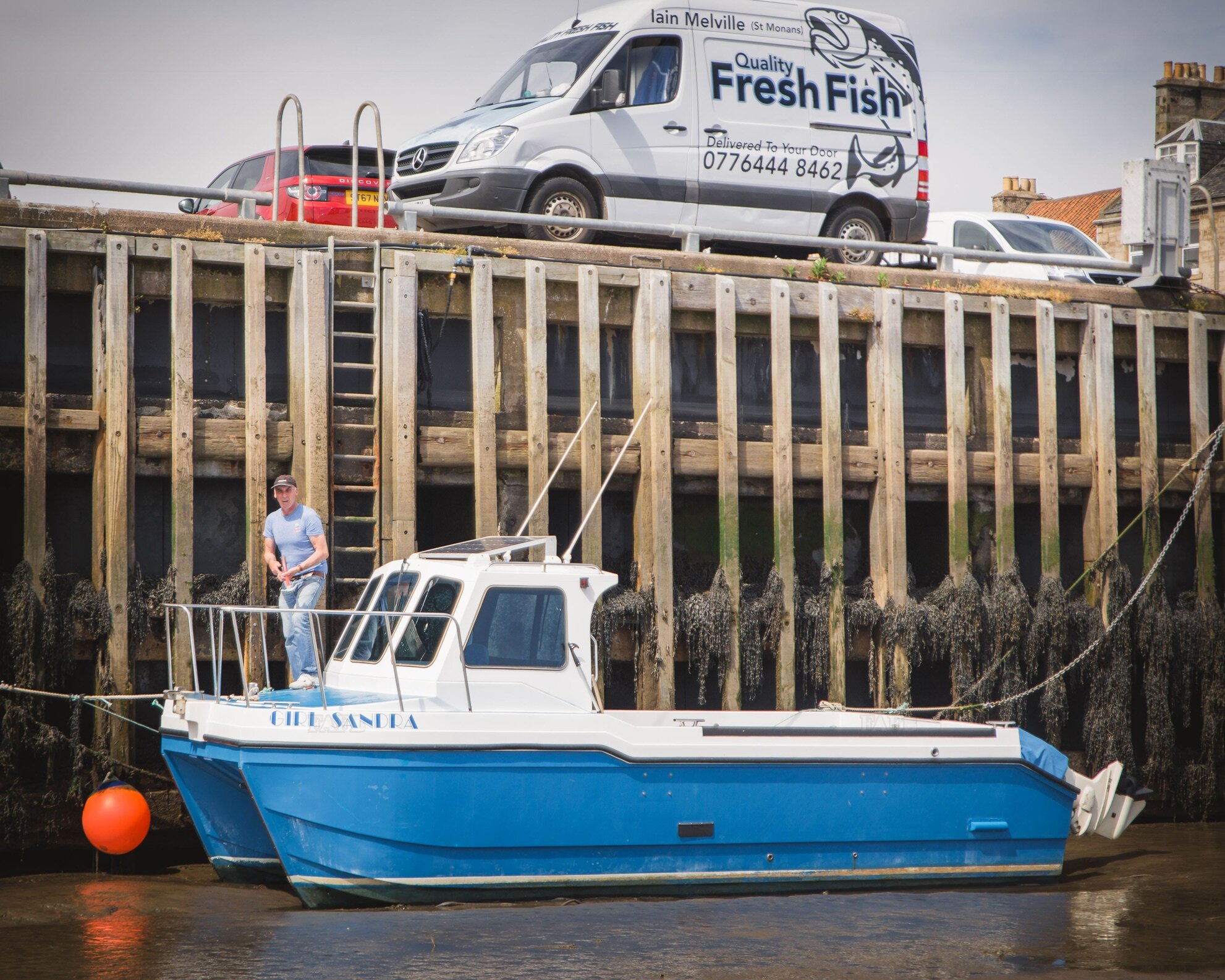 Large picture for advert 123819