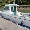 Extra picture for advert 148819