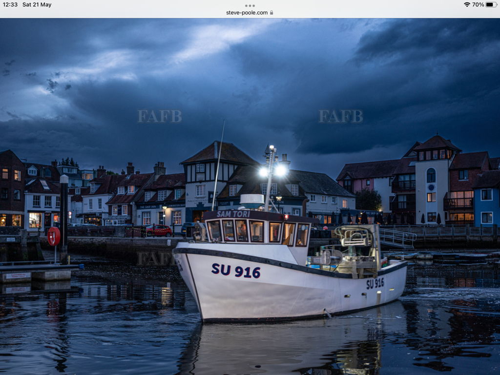 Kingfisher 26