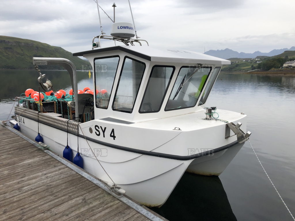 Sutton Catamaran