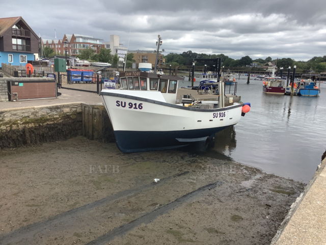 Large picture for advert 137082