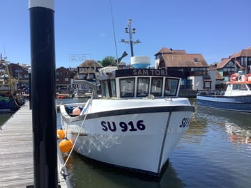 SamTori
