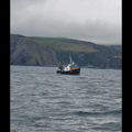 Thumbnail for picture 15