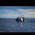 Thumbnail for picture 14