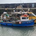 Extra picture for advert 146820