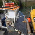 Extra picture for advert 146820