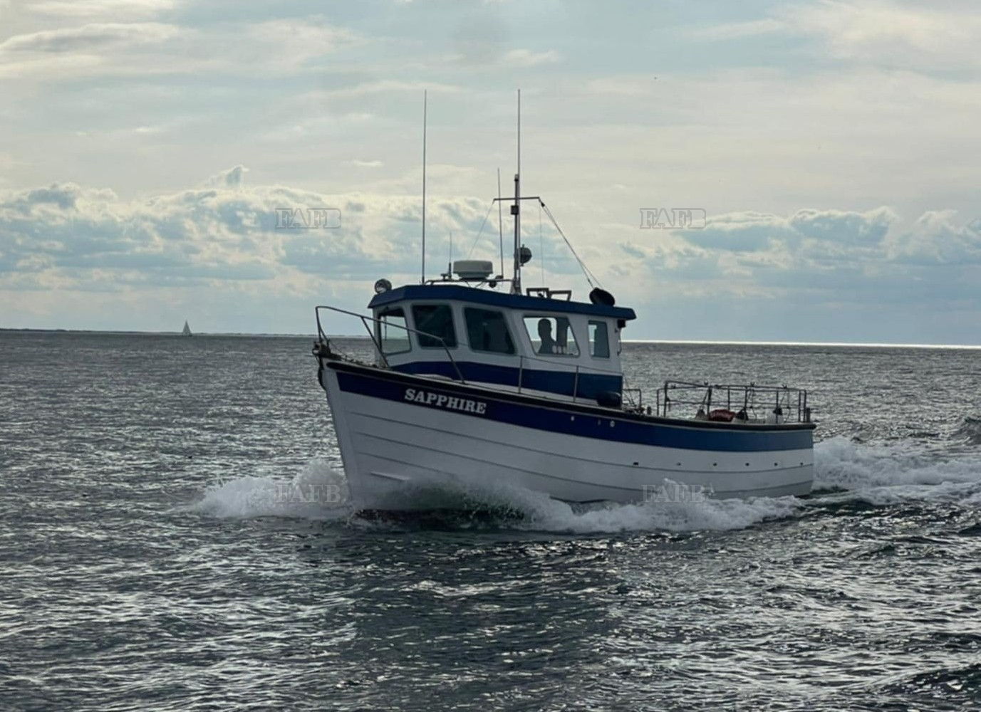 Large picture for advert 133821