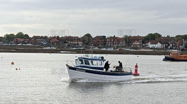 Large picture for advert 133821