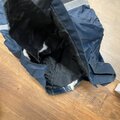 43 x used Dickies Water Proof Heavy Duty Padded Overalls - picture 3