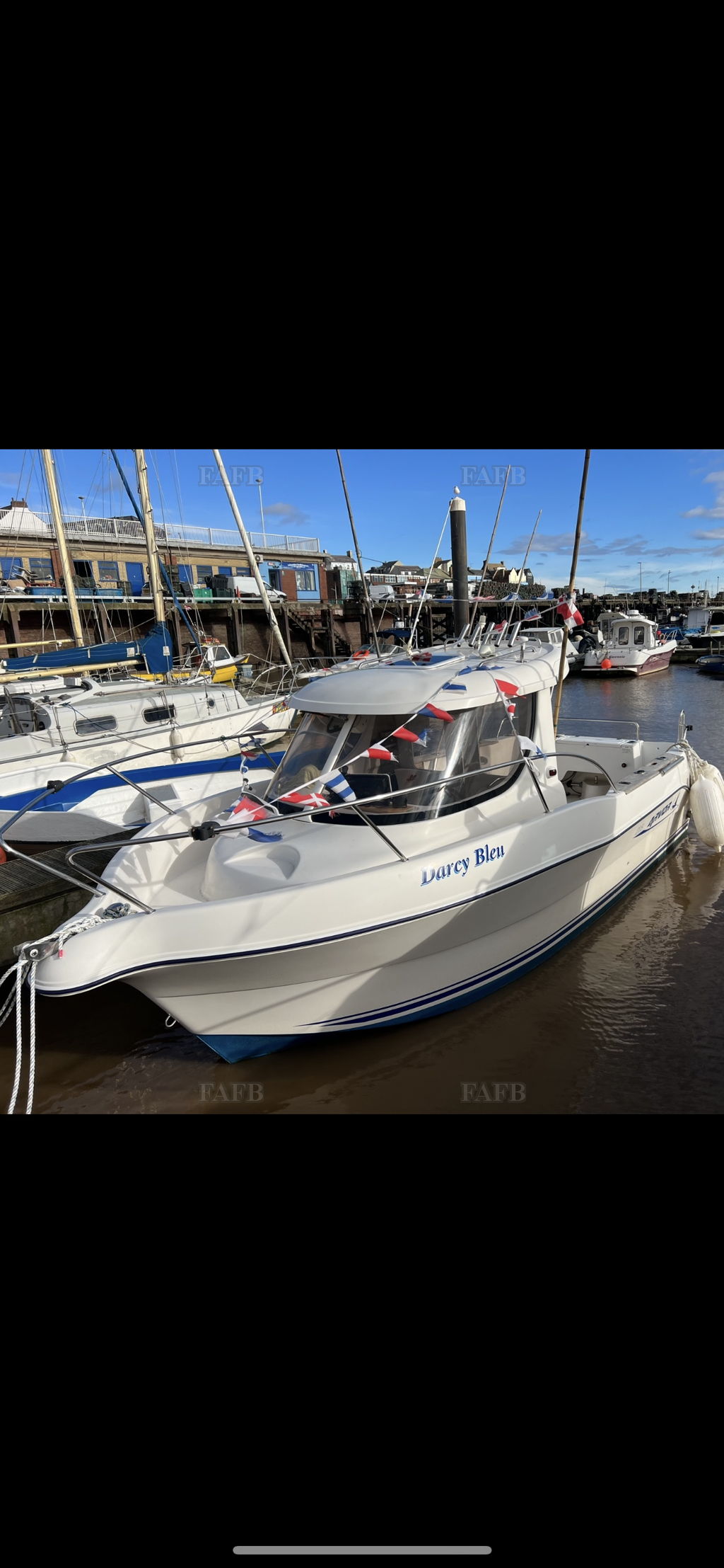 Arvor 215