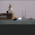 Thumbnail for picture 3