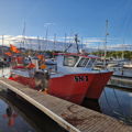 Extra picture for advert 145823