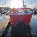 Extra picture for advert 145823