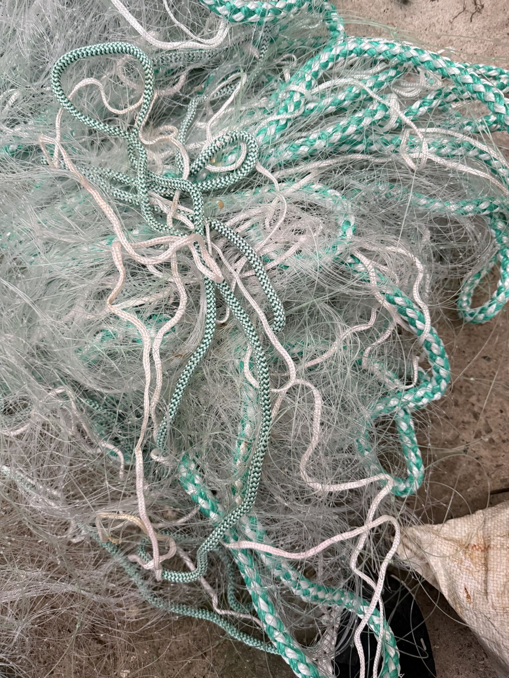 Large picture for advert 144825