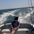 Thumbnail for picture 9